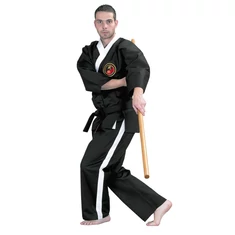 Bu-jutsu