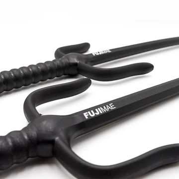 Sai, training Sai, training