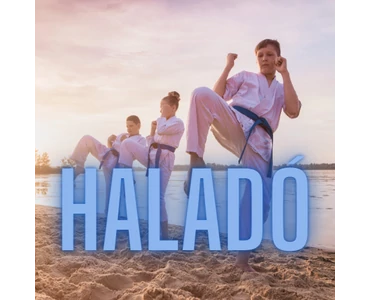 HALADÓ