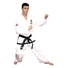 Kép 13/15 - Régi logós ITF taekwon-do mester ruha