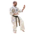 Kép 1/7 - Yantsu Kyokushin Karate Gi