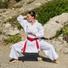 Kép 9/10 - Budōkan Excellence Kata Karate nadrág