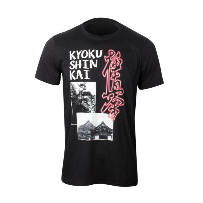 Kyokushin póló, emlékek